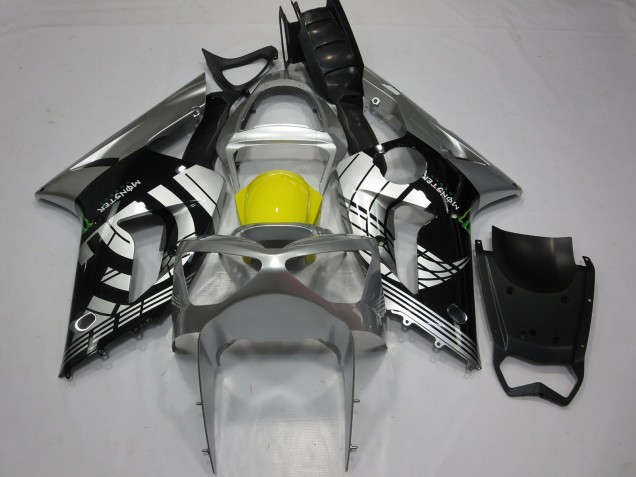 2003-2004 Custom Special Kawasaki ZX6R Fairings