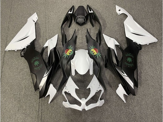 2019-2020 Happy Face Kawasaki ZX6R Fairings